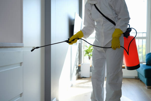 Best Crawl Space Mold Removal  in Burr Ridge, IL