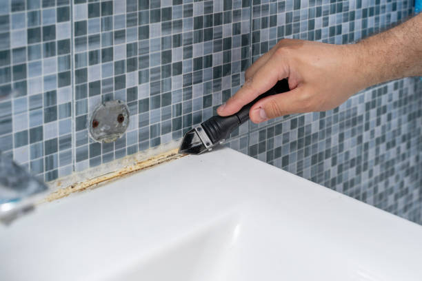 Best Mold Testing  in Burr Ridge, IL